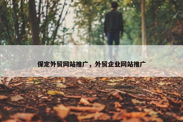 保定外贸网站推广，外贸企业网站推广