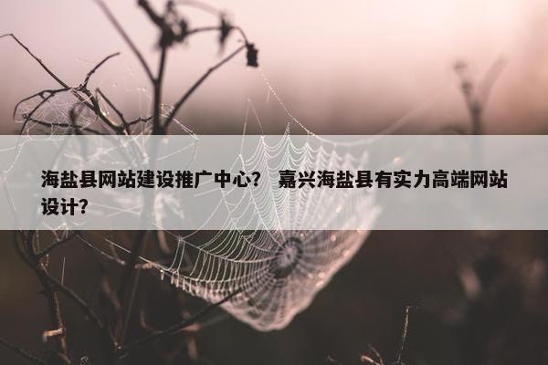 海盐县网站建设推广中心？ 嘉兴海盐县有实力高端网站设计？