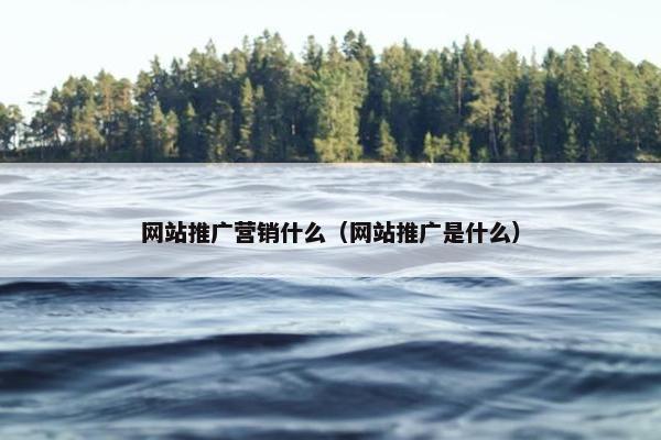 网站推广营销什么（网站推广是什么）