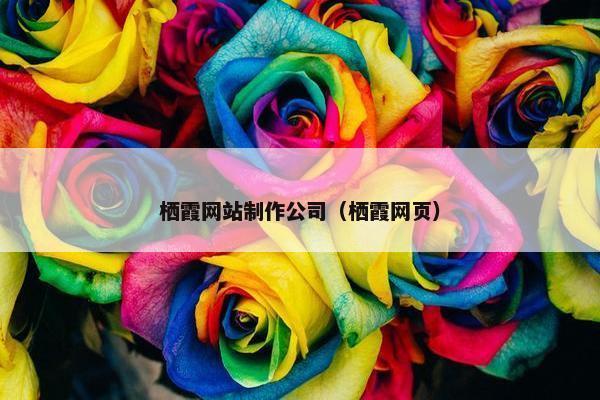 栖霞网站制作公司（栖霞网页）