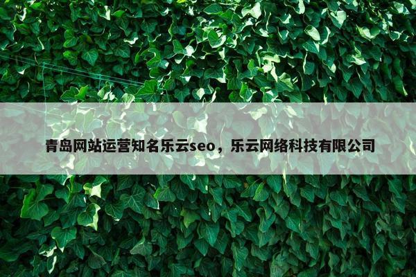 青岛网站运营知名乐云seo，乐云网络科技有限公司