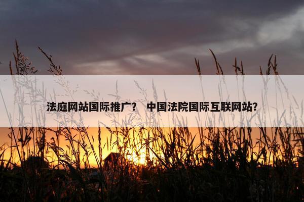 法庭网站国际推广？ 中国法院国际互联网站？