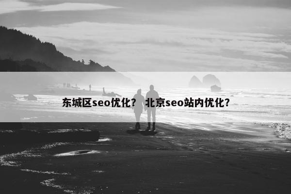 东城区seo优化？ 北京seo站内优化？