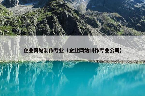 企业网站制作专业（企业网站制作专业公司）