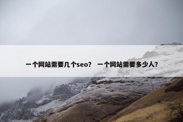 一个网站需要几个seo？ 一个网站需要多少人？