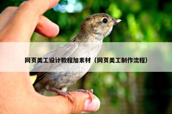 网页美工设计教程加素材（网页美工制作流程）