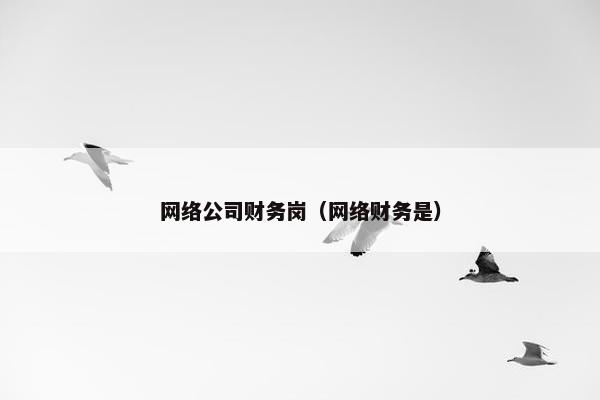 网络公司财务岗（网络财务是）