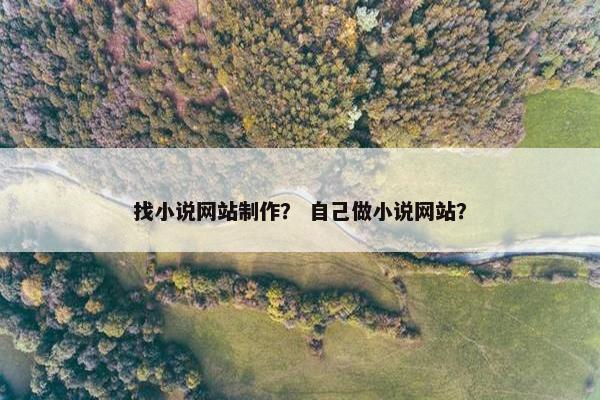 找小说网站制作？ 自己做小说网站？