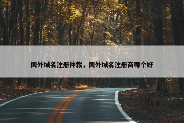 国外域名注册仲裁，国外域名注册商哪个好