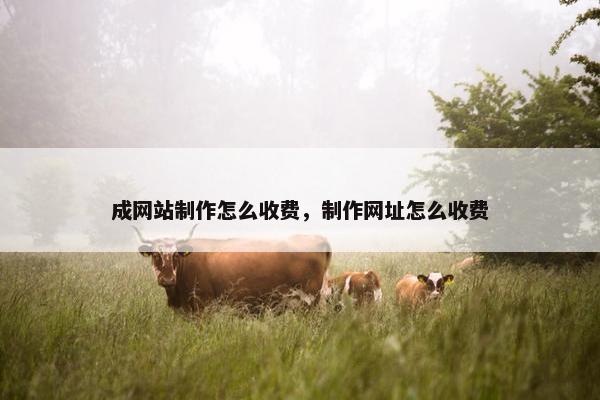 成网站制作怎么收费，制作网址怎么收费