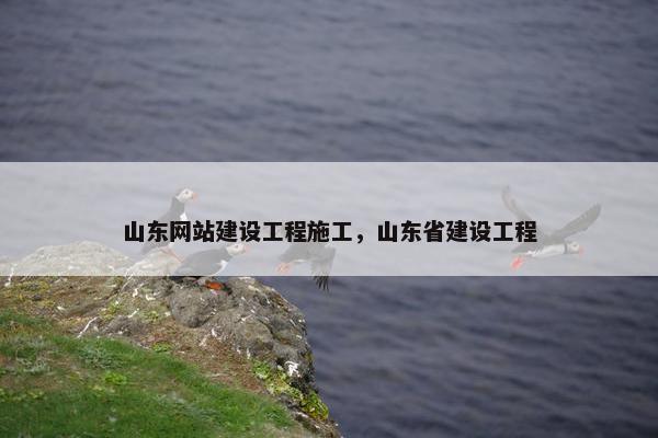 山东网站建设工程施工，山东省建设工程