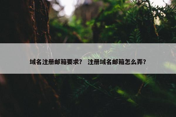 域名注册邮箱要求？ 注册域名邮箱怎么弄？