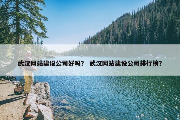 武汉网站建设公司好吗？ 武汉网站建设公司排行榜？