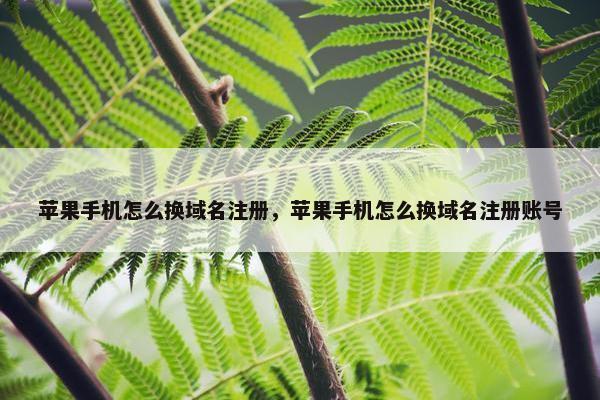 苹果手机怎么换域名注册，苹果手机怎么换域名注册账号