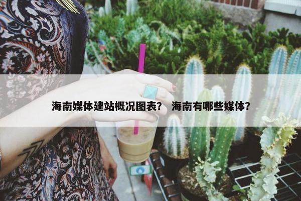 海南媒体建站概况图表？ 海南有哪些媒体？