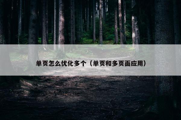 单页怎么优化多个（单页和多页面应用）