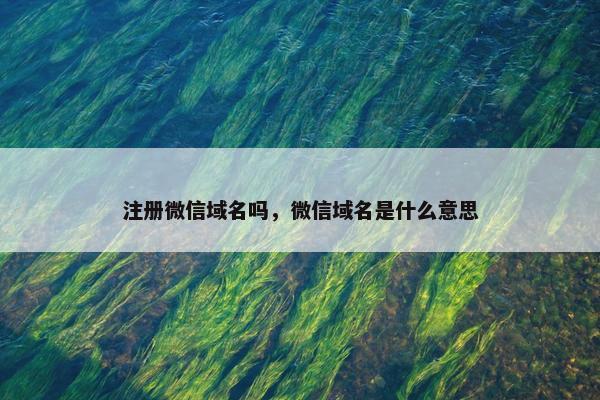 注册微信域名吗，微信域名是什么意思