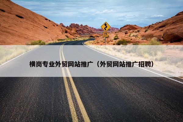 横岗专业外贸网站推广（外贸网站推广招聘）