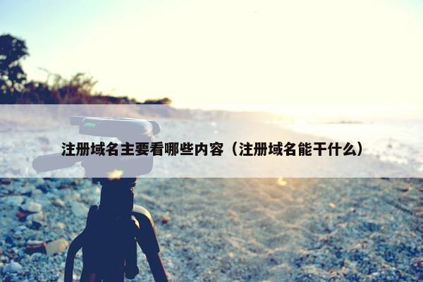 注册域名主要看哪些内容（注册域名能干什么）