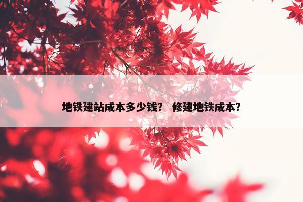 地铁建站成本多少钱？ 修建地铁成本？