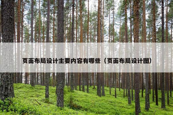 页面布局设计主要内容有哪些（页面布局设计图）