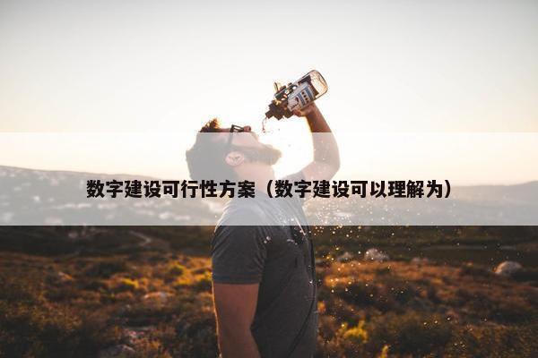 数字建设可行性方案（数字建设可以理解为）