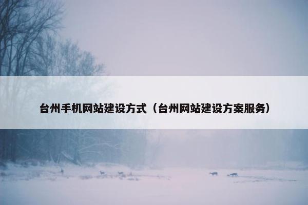 台州手机网站建设方式（台州网站建设方案服务）