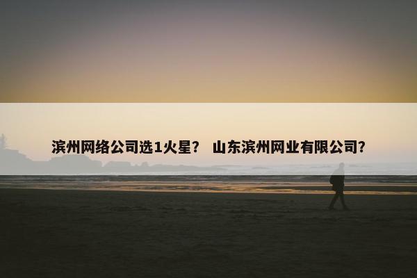 滨州网络公司选1火星？ 山东滨州网业有限公司？