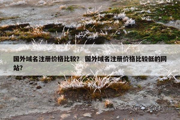 国外域名注册价格比较？ 国外域名注册价格比较低的网站？