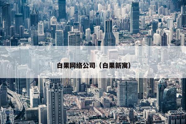 白果网络公司（白果新寓）