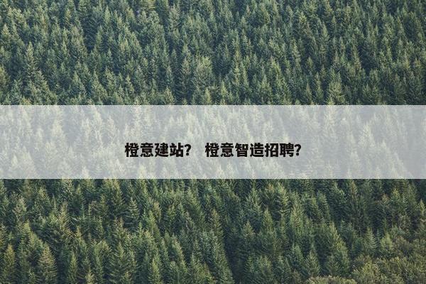 橙意建站？ 橙意智造招聘？