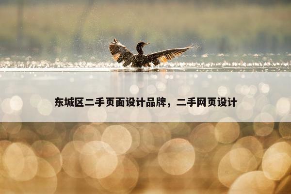 东城区二手页面设计品牌，二手网页设计