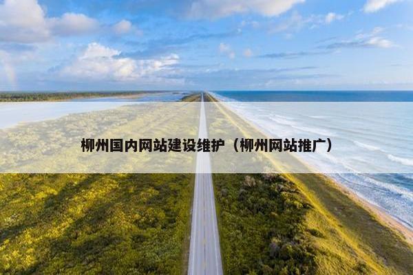 柳州国内网站建设维护（柳州网站推广）