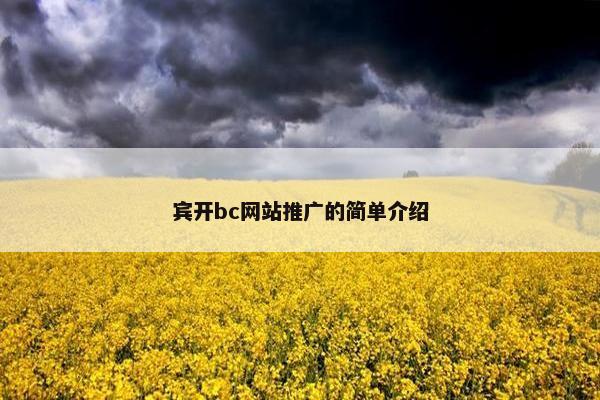 宾开bc网站推广的简单介绍