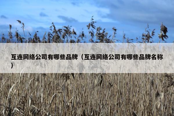 互连网络公司有哪些品牌（互连网络公司有哪些品牌名称）