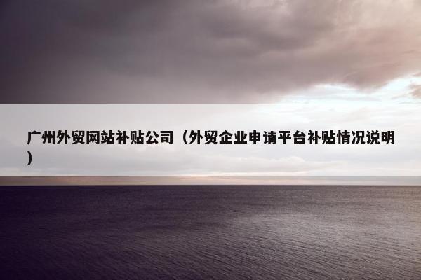 广州外贸网站补贴公司（外贸企业申请平台补贴情况说明）