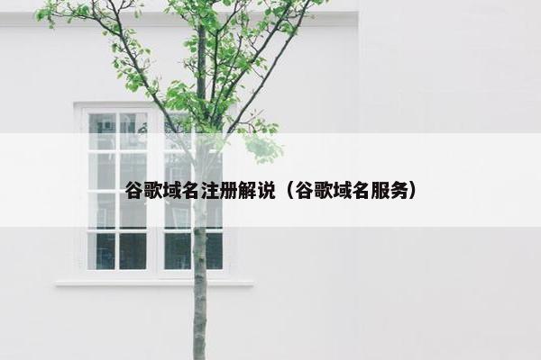 谷歌域名注册解说（谷歌域名服务）