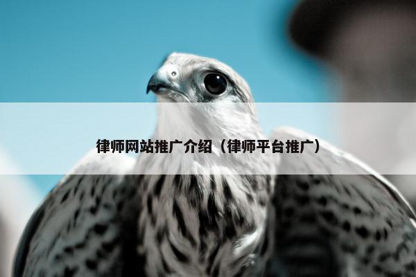 律师网站推广介绍（律师平台推广）