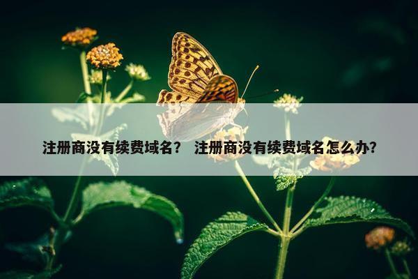 注册商没有续费域名？ 注册商没有续费域名怎么办？