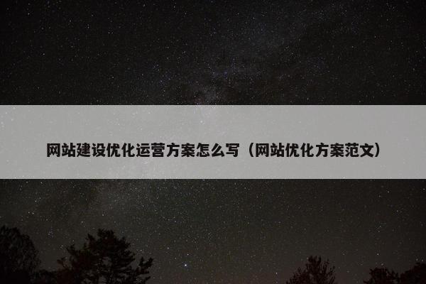 网站建设优化运营方案怎么写（网站优化方案范文）