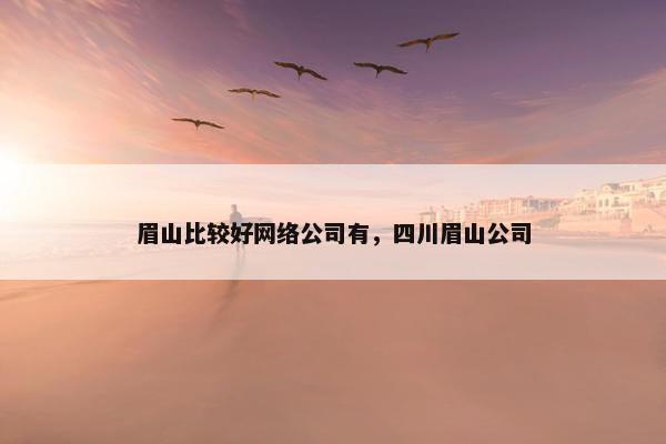 眉山比较好网络公司有，四川眉山公司