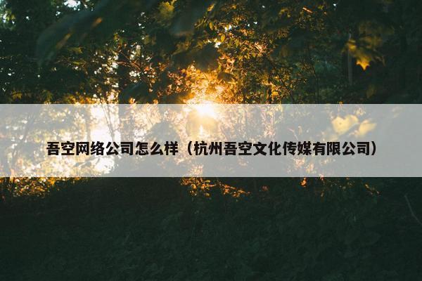 吾空网络公司怎么样（杭州吾空文化传媒有限公司）