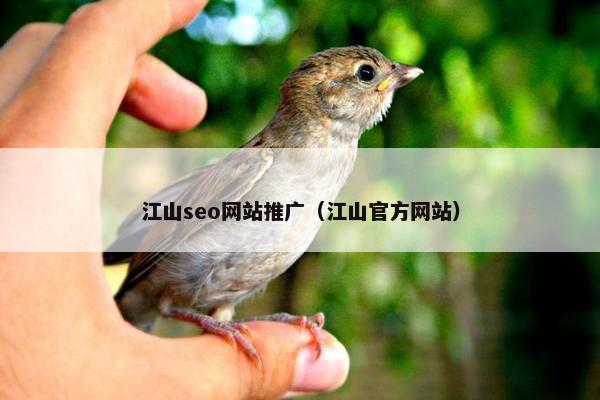 江山seo网站推广（江山官方网站）