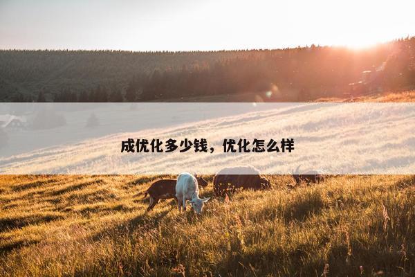 成优化多少钱，优化怎么样