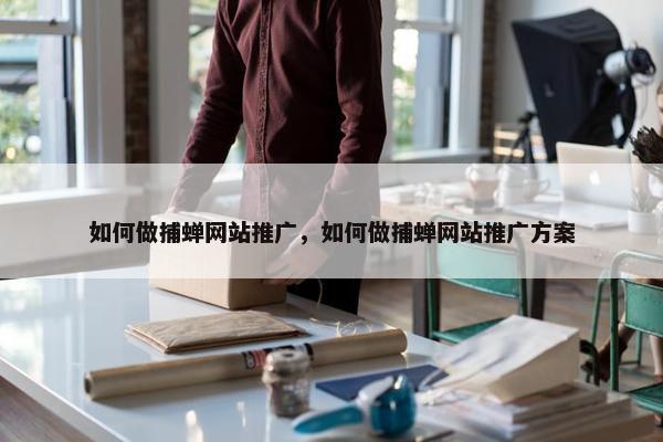 如何做捕蝉网站推广，如何做捕蝉网站推广方案