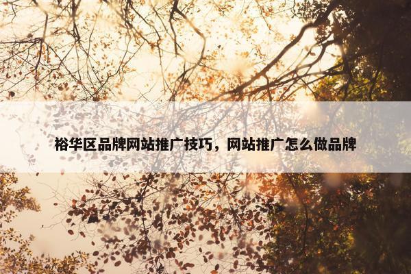 裕华区品牌网站推广技巧，网站推广怎么做品牌
