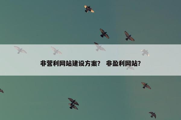 非营利网站建设方案？ 非盈利网站？