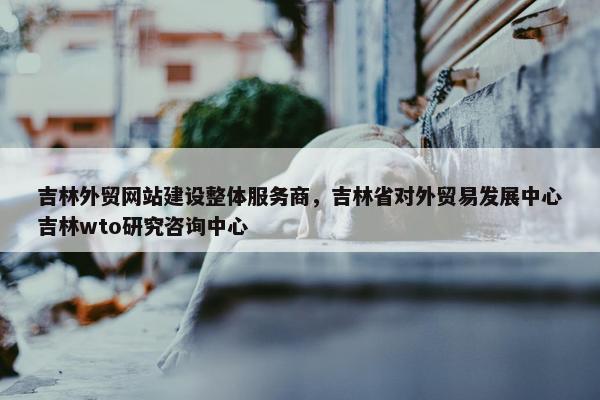 吉林外贸网站建设整体服务商，吉林省对外贸易发展中心吉林wto研究咨询中心