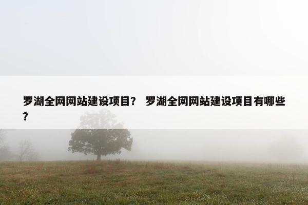 罗湖全网网站建设项目？ 罗湖全网网站建设项目有哪些？