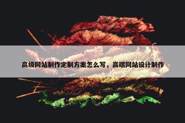 高级网站制作定制方案怎么写，高端网站设计制作